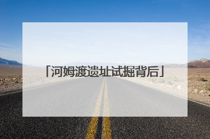 河姆渡遗址试掘背后