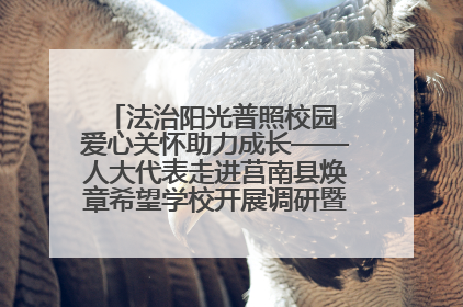 法治阳光普照校园 爱心关怀助力成长——人大代表走进莒南县焕章希望学校开展调研暨普法宣传活动