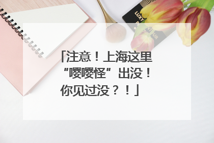 注意！上海这里“嘤嘤怪”出没！你见过没？！