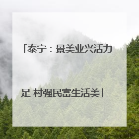 泰宁：景美业兴活力足 村强民富生活美