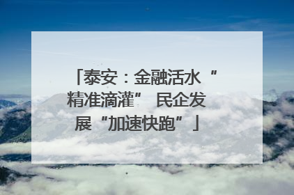 泰安：金融活水“精准滴灌” 民企发展“加速快跑”