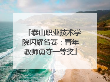 泰山职业技术学院闪耀省赛：青年教师勇夺一等奖