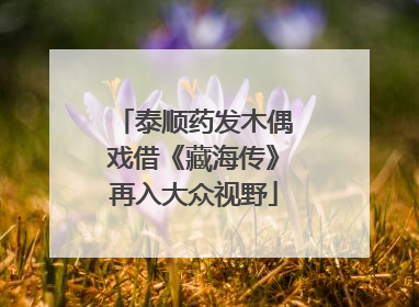 泰顺药发木偶戏借《藏海传》再入大众视野