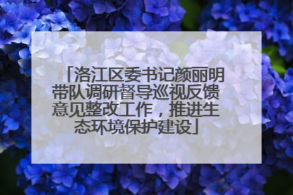 洛江区委书记颜丽明带队调研督导巡视反馈意见整改工作，推进生态环境保护建设