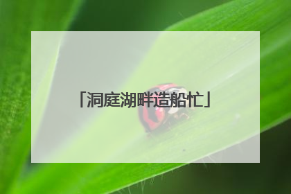 洞庭湖畔造船忙