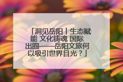 洞见岳阳丨生态赋能 文化铸魂 国际出圈——岳阳文旅何以吸引世界目光？