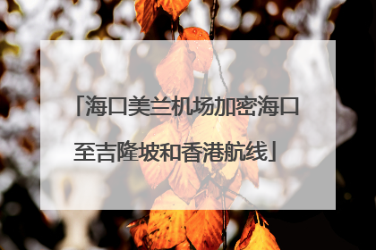 海口美兰机场加密海口至吉隆坡和香港航线