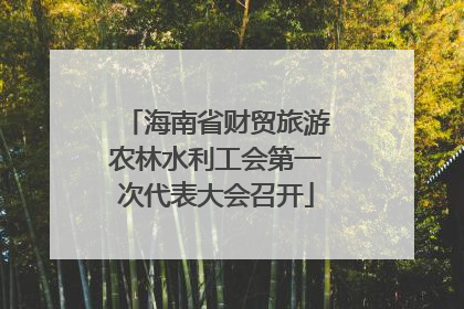海南省财贸旅游农林水利工会第一次代表大会召开