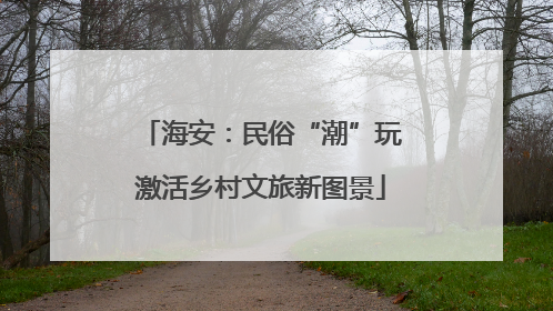 海安：民俗“潮”玩激活乡村文旅新图景
