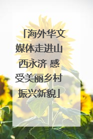 海外华文媒体走进山西永济 感受美丽乡村振兴新貌