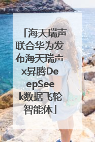 海天瑞声联合华为发布海天瑞声x昇腾DeepSeek数据飞轮智能体