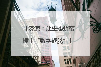 济源：让生态蜂蜜插上“数字翅膀”
