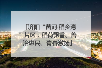 济阳“黄河·稻乡湾”片区：稻荷飘香、善治惠民、青春激扬