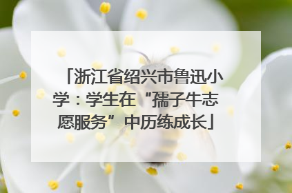 浙江省绍兴市鲁迅小学：学生在“孺子牛志愿服务”中历练成长