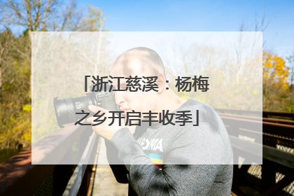 浙江慈溪：杨梅之乡开启丰收季