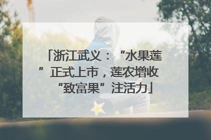 浙江武义：“水果莲”正式上市，莲农增收“致富果”注活力