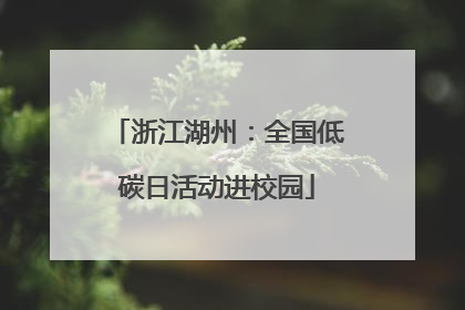 浙江湖州：全国低碳日活动进校园