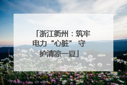 浙江衢州：筑牢电力“心脏” 守护清凉一夏