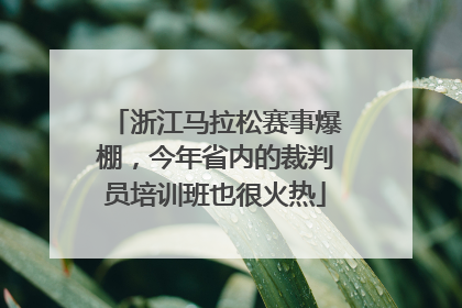 浙江马拉松赛事爆棚，今年省内的裁判员培训班也很火热