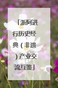 浙阿进行历史经典（非遗）产业交流互鉴