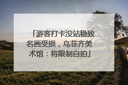 游客打卡没站稳致名画受损，乌菲齐美术馆：将限制自拍