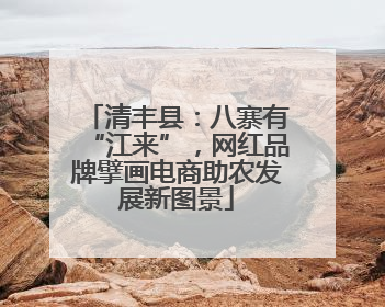 清丰县：八寨有“江来”，网红品牌擘画电商助农发展新图景