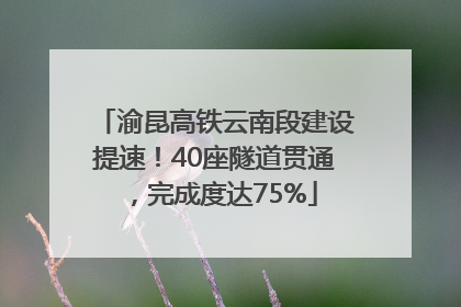 渝昆高铁云南段建设提速！40座隧道贯通，完成度达75%