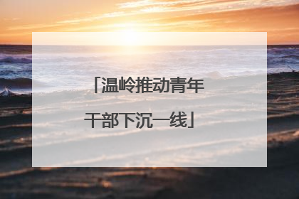 温岭推动青年干部下沉一线