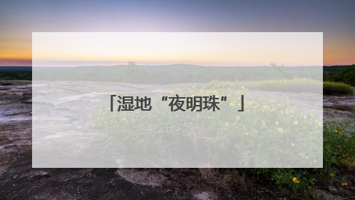 湿地“夜明珠”