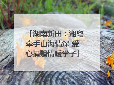 湖南新田：湘粤牵手山海情深 爱心捐赠情暖学子