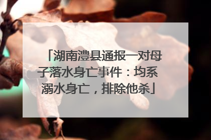 湖南澧县通报一对母子落水身亡事件：均系溺水身亡，排除他杀