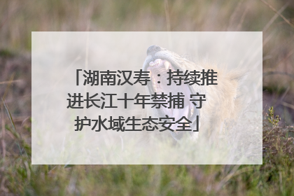 湖南汉寿：持续推进长江十年禁捕 守护水域生态安全