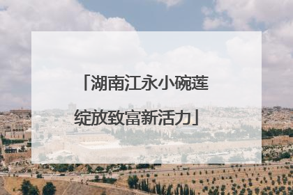 湖南江永小碗莲绽放致富新活力