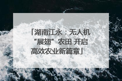 湖南江永：无人机“展翅”农田 开启高效农业新篇章