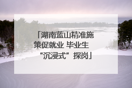 湖南蓝山精准施策促就业 毕业生“沉浸式”探岗