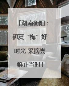 湖南衡阳：初夏“梅”好时光 采摘尝鲜正当时