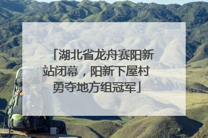 湖北省龙舟赛阳新站闭幕，阳新下屋村勇夺地方组冠军