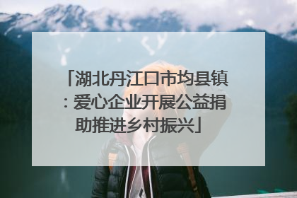 湖北丹江口市均县镇：爱心企业开展公益捐助推进乡村振兴