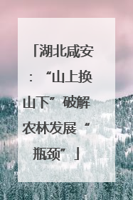 湖北咸安：“山上换山下”破解农林发展“瓶颈”