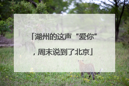 湖州的这声“爱你”，周末说到了北京