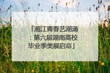 湘江青春艺潮涌：第六届湖南高校毕业季美展启幕