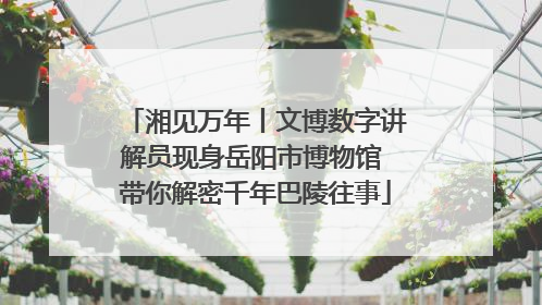 湘见万年丨文博数字讲解员现身岳阳市博物馆 带你解密千年巴陵往事