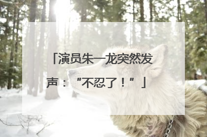演员朱一龙突然发声：“不忍了！”
