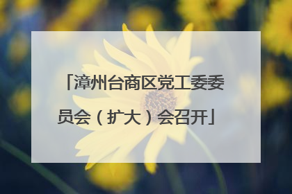 漳州台商区党工委委员会（扩大）会召开
