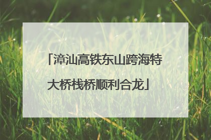 漳汕高铁东山跨海特大桥栈桥顺利合龙