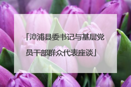 漳浦县委书记与基层党员干部群众代表座谈