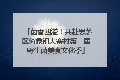 菌香四溢！共赴思茅区倚象镇大寨村第二届野生菌美食文化季