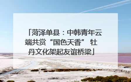菏泽单县：中韩青年云端共赏“国色天香” 牡丹文化架起友谊桥梁