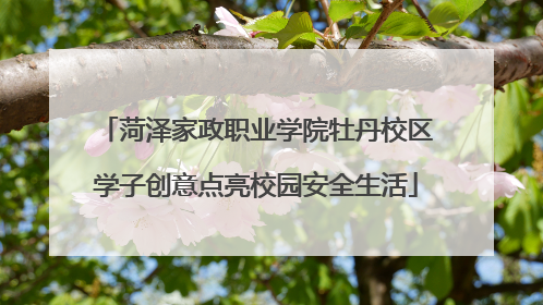 菏泽家政职业学院牡丹校区学子创意点亮校园安全生活