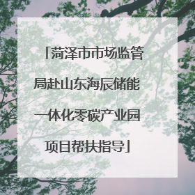 菏泽市市场监管局赴山东海辰储能一体化零碳产业园项目帮扶指导